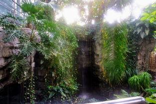 植物园在线观看,在线探索植物园的奇妙之旅  第1张